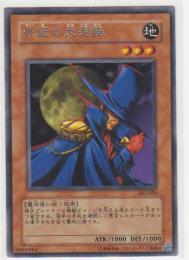 世紀の大泥棒[レア]