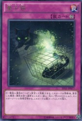 量子猫　[レア]