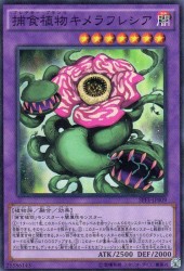 捕食植物キメラフレシア　[スーパー]