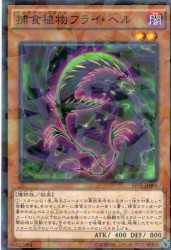 捕食植物フライ・ヘル　[ノーパラ]