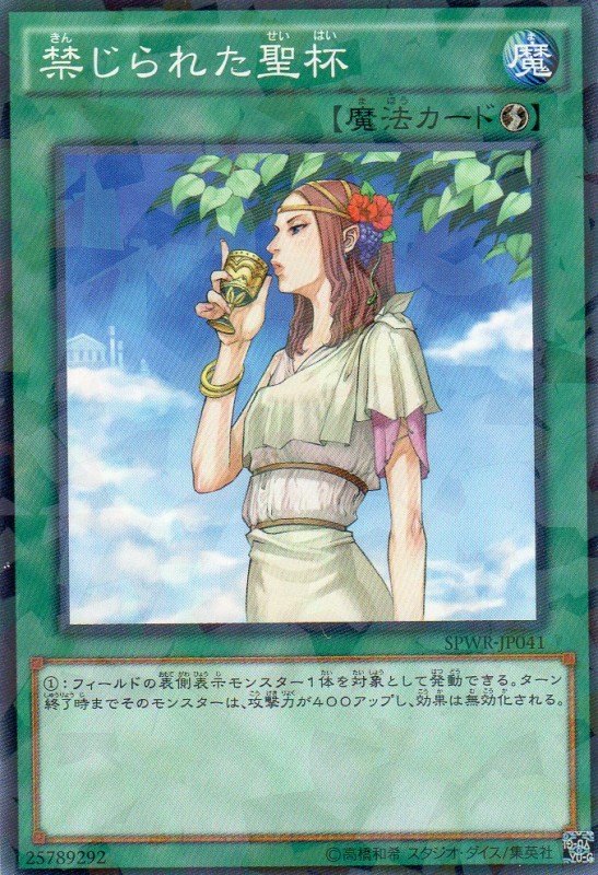 禁じられた聖杯　[ノーパラ]